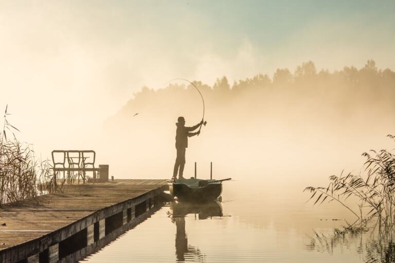 Table Rock Lake Fishing: The 2026 Guide To Catching Bass, Crappie, And More
